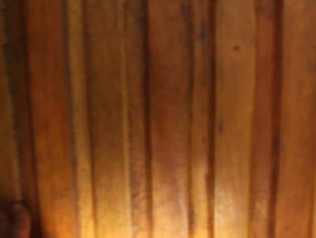 Walking into a room full of bats. In a cabin surrounded by rainforest in the Ecuadorian Amazon