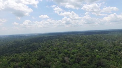 Aerial View of Amazon Rainforest, Brazil