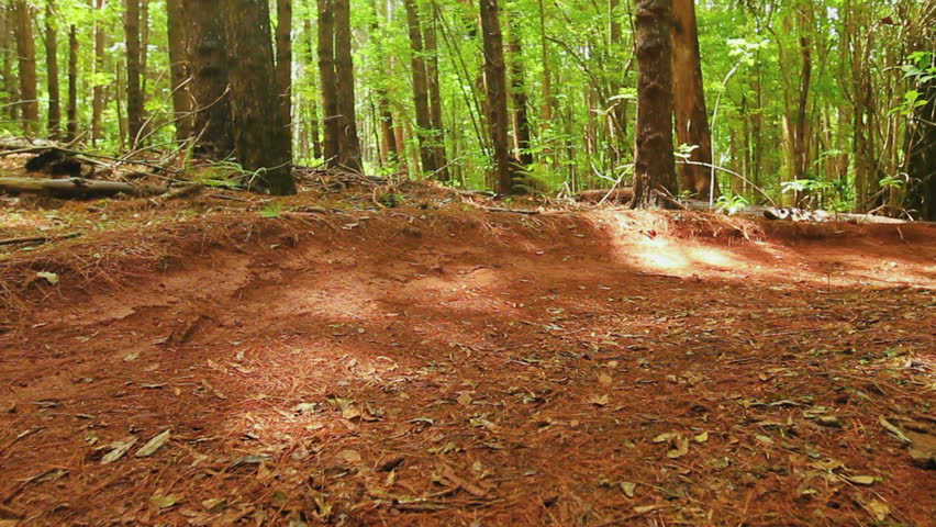 dirt