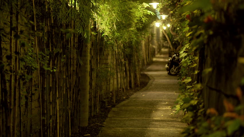 Young man walking through narrow bamboo path at night
