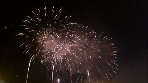 Fireworks light up the sky with dazzling display 