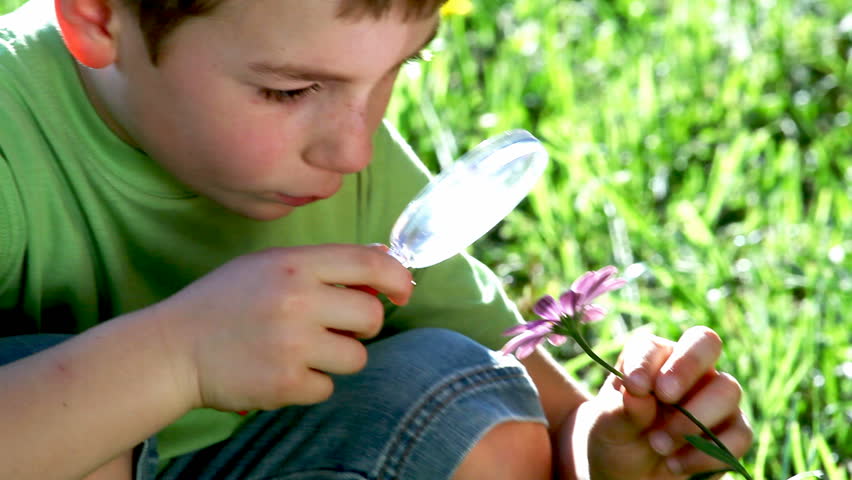 Little boy exploring nature with magnifying glass; Full HD, Photo JPEG