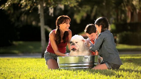 Mother & daughter bathing the family bulldog in metal bath in their garden