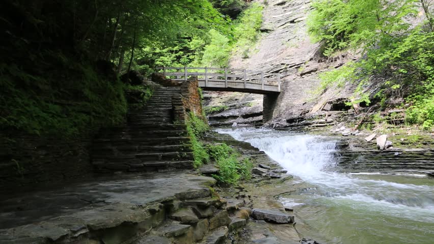 Stony Brook Creek - Stony Brook State Park, Finger Lakes Area, New York