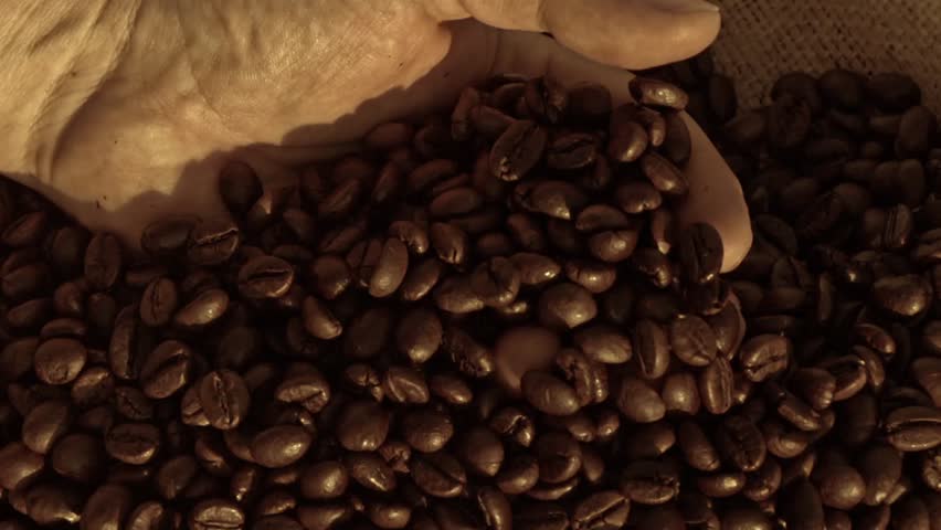 fresh roasted coffee beans near me