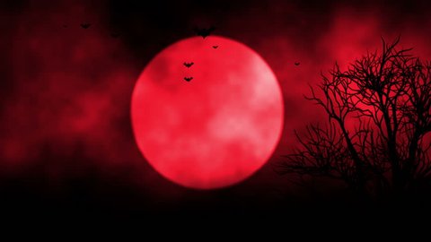 Animated stylish background useful for halloween,spooky, scary, haunted, eerie, ghost, or terror. background with the elements during Halloween such as, ghost, bats, pumpkins, and so on