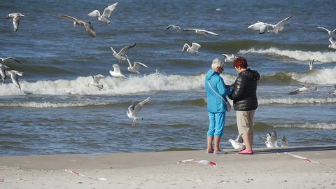 LEBA/POLAND - AUG 28 2015: Dozens of sea birds are hovering in the wind, stretching their wings in the ocean wind. They sit close to a copule of middle-ageed women berfore returning into the stream