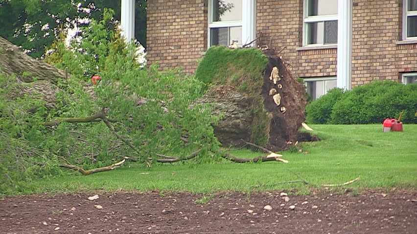 Ontario, Canada July 2013 Wind and tornado storm damage
