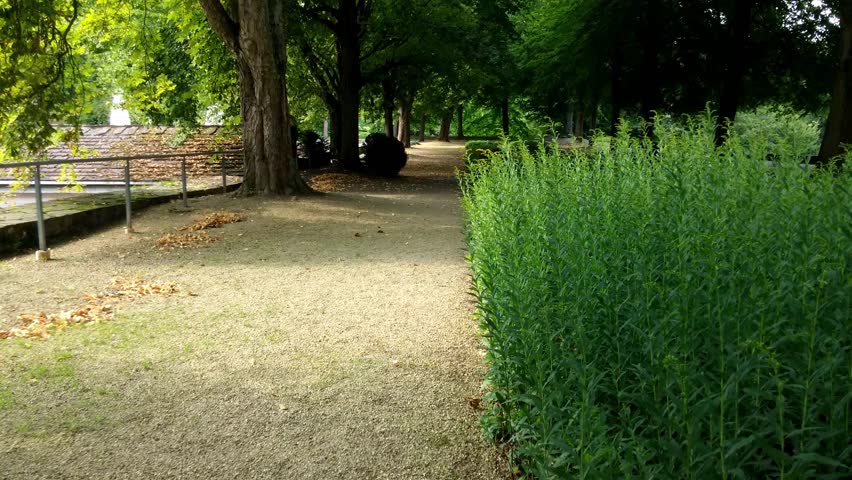 Garden in the town Bad Pyrmont in Germany