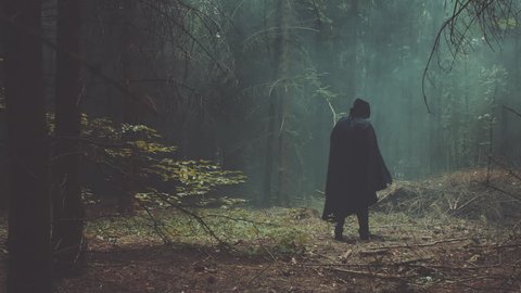 A man in a black cloak in the forest meets girl and they both flee forest. The dramatic scene for Halloween day, videoclip de stoc