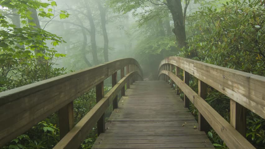 Beautiful footbridge over the river 