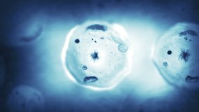 Stages of mitosis. Loopable. Biology background. Blue. The mother cell reproduces by duplicating its contents and dividing into two new cells called daughter cells. - Powered by Shutterstock - Get 15% off with code: PIKWIZARD15