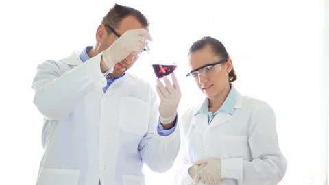 Scientists couple Working in Lab 