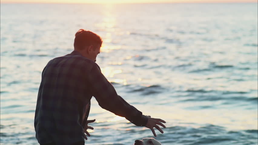young man playing with a dog on the beach slow motion