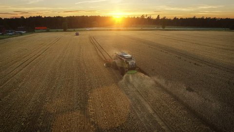 Aerial drone shot of a combine harvester working in a field at sunset. Shot in 4K (UHD).