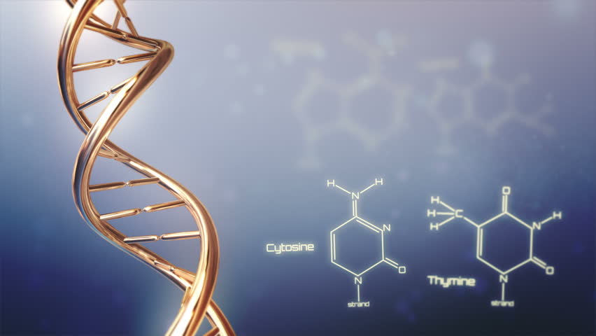 Молекула днк содержит гуанин. Золотая ДНК. Золотая спираль ДНК. Золотые нити ДНК. Химическая спираль.