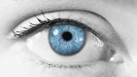 Human Eye Blue White Regular Skin Stock Footage Video (100% Royalty ...