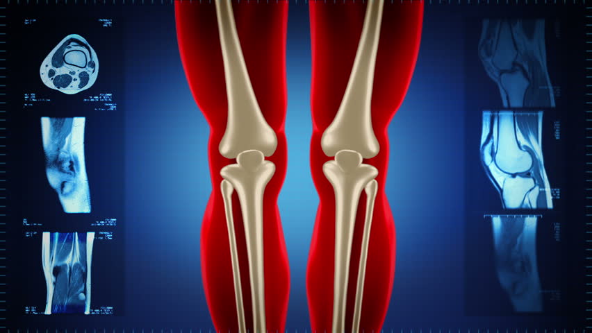 Highly Detailed Knee Scan. Loopable. Stock Footage Video (100% Royalty