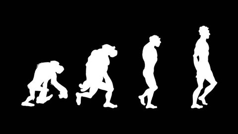 Human evolution morph. Loopable. Alpha matte. Frame to frame hand made animation. From the ape to the homo-sapiens. 4 stages. More options in my portfolio.