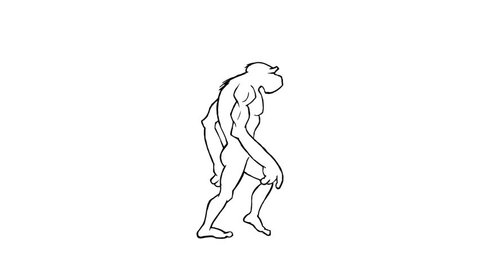 Human evolution morph. Loopable. Alpha matte. Frame to frame hand made animation. From the ape to the homo-sapiens. Each walk is loopable. More options in my portfolio.