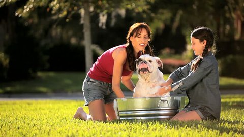 Young mom & her daughter bathing the family pet bulldog in the garden
