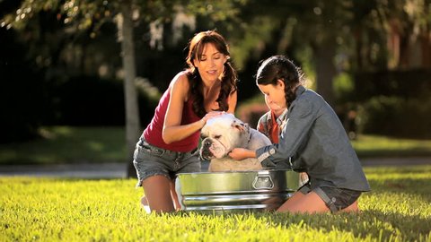 Young mom & her children bathing the family bulldog  in the garden