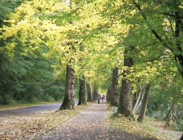 Park road