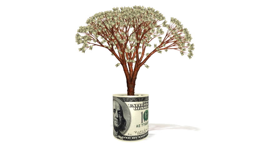 Dollar tree growing inside USD banknote