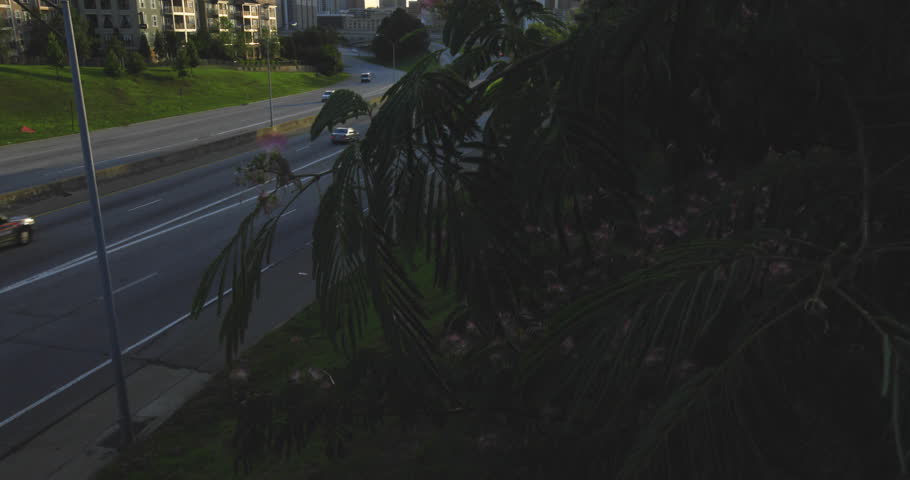 Atlanta City Skyline Tilt Up from Bushes. the camera tilts up and pans left with Bushes in the foreground to reveal the Atlanta highway and city skyline in the background