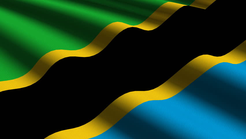 Tanzania Close up waving flag - HD loop 