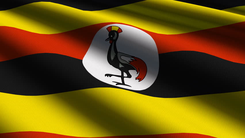 Uganda Close up waving flag - HD loop 
