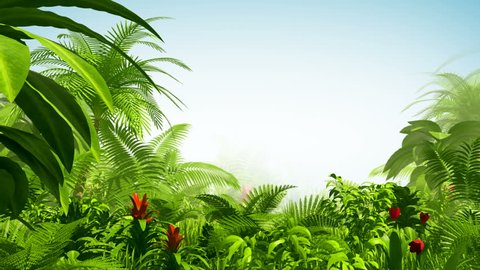 Growing tropical forest