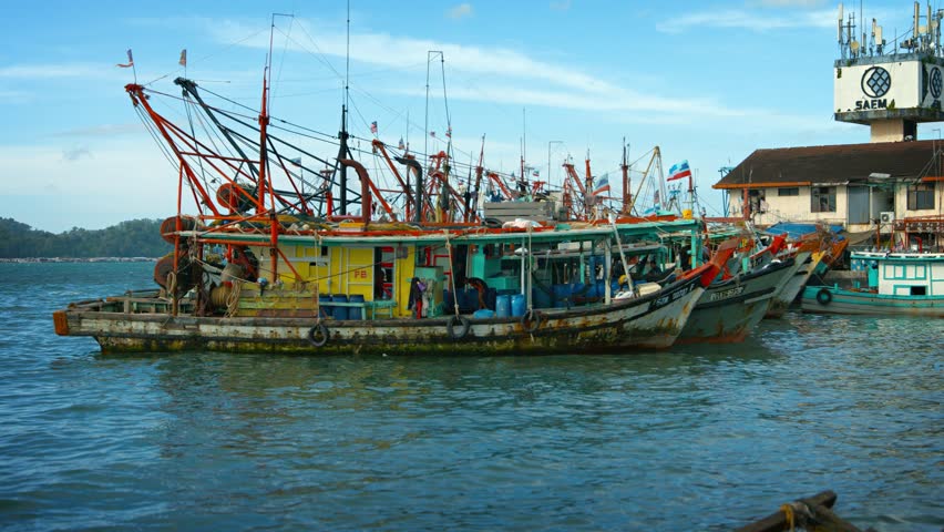 Borneo. Malaysia - Circa Jan Stock Footage Video (100% Royalty 