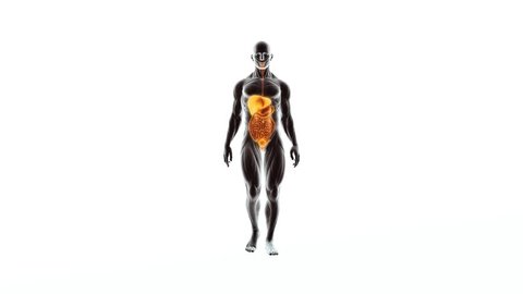 Naked man full body Stock Video Footage - 4K and HD Video Clips