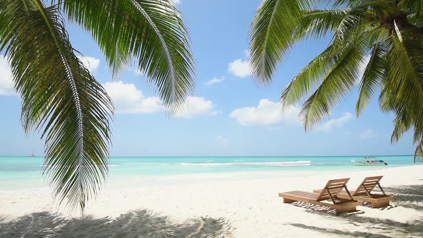 Paradise Island. Deck chair, lounge, recliner, daybed, chaise-longue, sun lounger under the palm trees on the beach. The island of Saona Dominican Republic. Sunny day. The best beaches in the world | Shutterstock HD Video #11862224