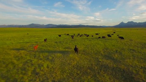 Aerial video of the countryside in Montana. Farms in East Glacier.