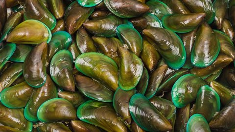 Close up rotation of many colored green Mussel in the market. 4k video.