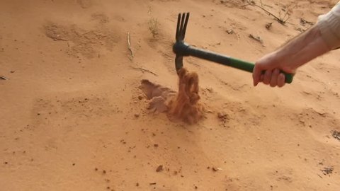 businessman crawling desert reaching water success Stock Footage Video ...