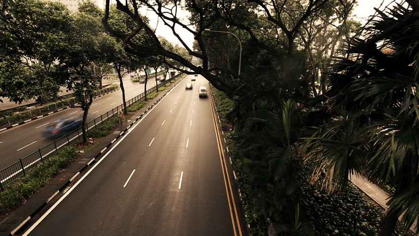 Time lapse of highway traffic surrounded by exotic plants in dark warm