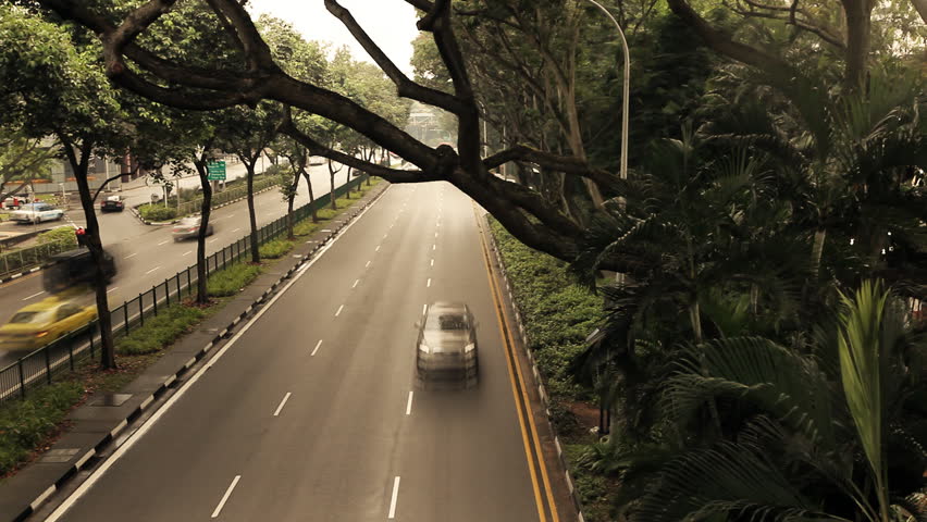 Time lapse of highway traffic surrounded by exotic plants in dark warm