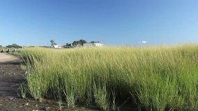 Establishing clip of a pan of a Connecticut Marsh in the summer on a sunny day with blue sky