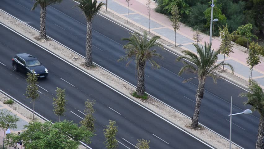 Palm trees road in tropical Benidorm, Spain