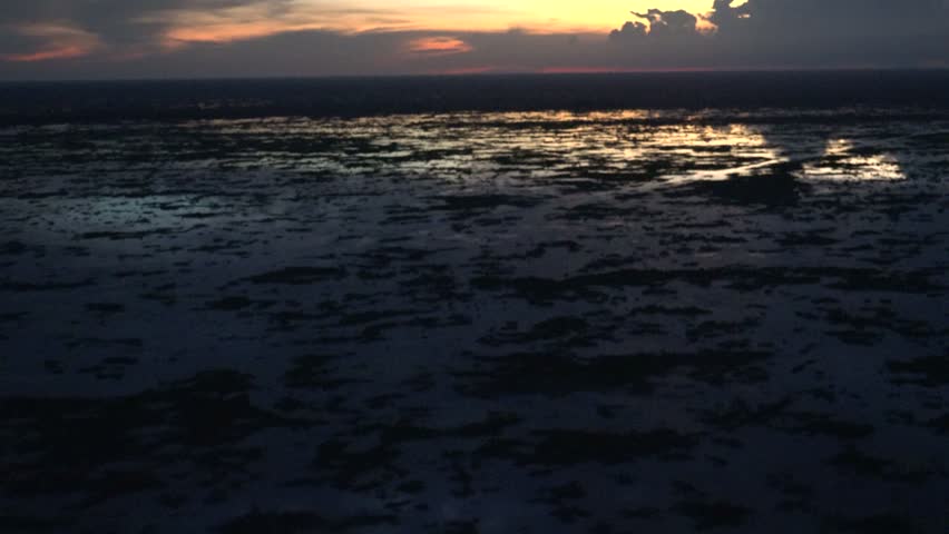 Everglades 4k AERIAL night view with reflections on the water.