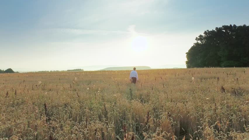 Businessman in a wheat field