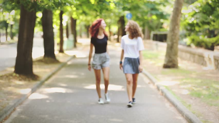 Two Beautiful Girls Walking and : vídeo stock (100% livre de direitos)  11959094 | Shutterstock