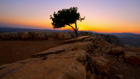 Sunset with lone tree time-lapse from Mount Arbel near the Sea of Galilee, Israel.