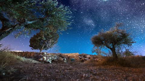 Bethlehem, Israel with Olive trees with astro time-lapse, starry sky.