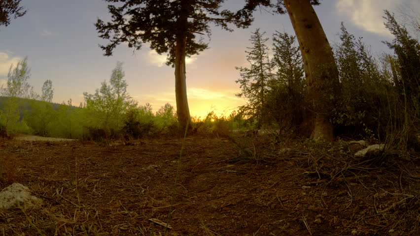 Israel - March, 2011: Sunset time-lapse with trees in Israeli wilderness.