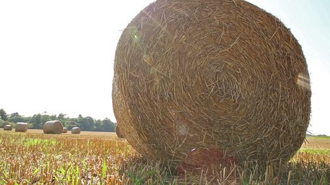 Large round straw bales in an open field on a bright sunny summers day