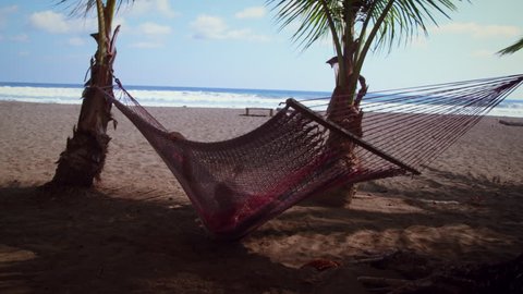 Footage filmed behind someone swinging in a hammock set up on a beach. A dog walks up and sits down under the hammock.